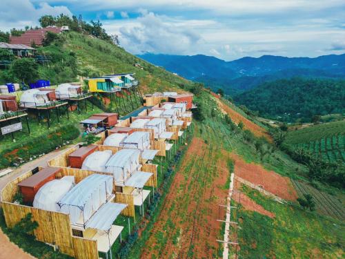 an aerial view of a vineyard with rows of tents on a hill at ภูวินคาเฟ่ โฮมสเตย์ Phuwin Homestay Monjam in Mon Jam
