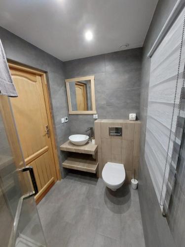 a bathroom with a toilet and a sink and a mirror at Skalne Rancho - BALIA, MASAŻ in Rabka-Zdroj