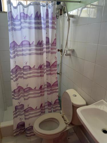 a bathroom with a toilet and a shower curtain at Saint Joseph Inn in Sagada