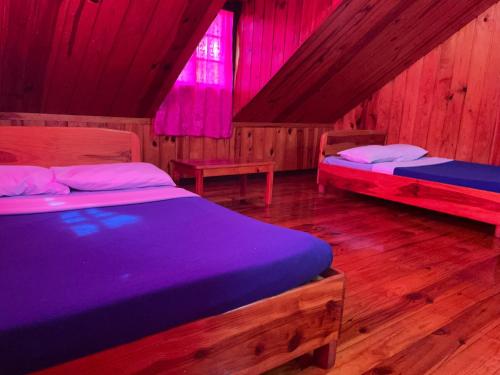 two beds in a room with pink lighting at Saint Joseph Inn in Sagada