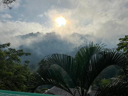 a view of the sun in the sky with a palm tree at CARIBbEAN Paradise Hotel in Lanquín
