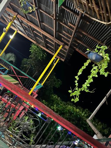 a plant is hanging from a balcony at night at CARIBbEAN Paradise Hotel in Lanquín