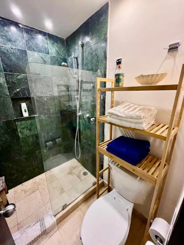 a bathroom with a shower and a white toilet at Beachfront Hammock Heaven in Akumal