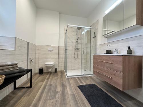 a bathroom with a shower and a toilet and a sink at Ferienwohnungen Zum Neuhäusel in Quedlinburg