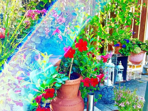 a group of potted flowers in a garden at Privatzimmer Hanna in Dießen am Ammersee