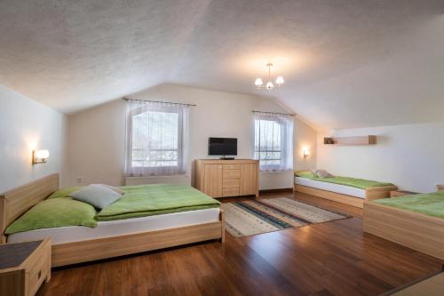 a bedroom with two beds and a television in it at Pension Lunatyk in Liptovský Mikuláš