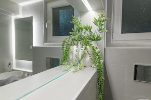 a white vase filled with plants on top of a counter at Green and Grey loft 1 in Alexandroupoli