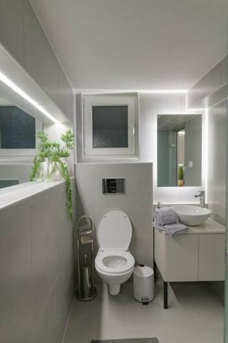 Green and Grey loft 1
