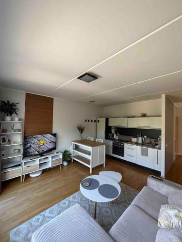 ein Wohnzimmer mit einem Sofa und einem Tisch in der Unterkunft 1-bedroom apartment near airport in Petrikyula