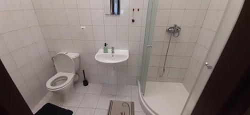 uma casa de banho com um chuveiro, um WC e um lavatório. em Apartmány Elisabeth em Železná Ruda