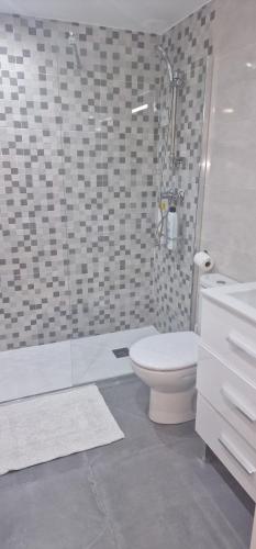 y baño con ducha, aseo y lavamanos. en La Concordia, en Bilbao