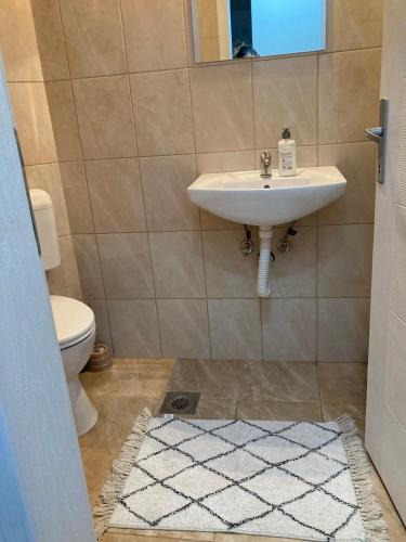 La salle de bains est pourvue d'un lavabo et de toilettes. dans l'établissement Tilia2, à Mirijevo