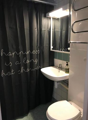 ein Badezimmer mit einem Waschbecken, einem WC und einem Spiegel in der Unterkunft Fagersta Apatrtment in Fagersta
