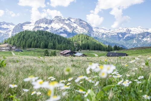 a field of flowers with mountains in the background at Ferienwohnung im Gästehaus Sieger-Brandner in Ramsau
