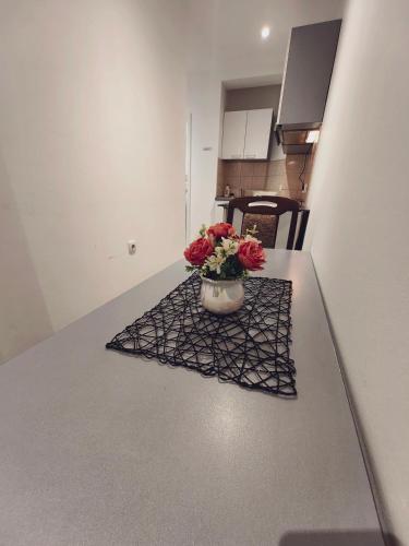 Apartmani MiS apartman br7 – Photos 2