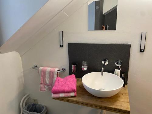 een badkamer met een witte wastafel en een roze handdoek bij Vakantiewoning Het Wielje Maasland in Kinrooi