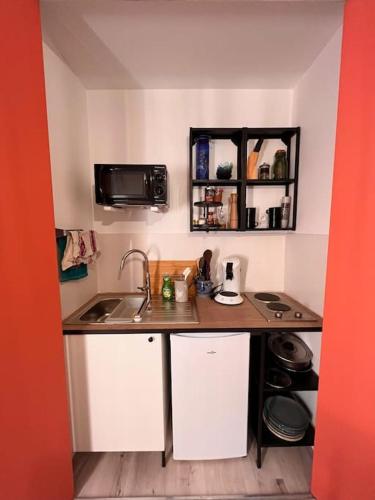 une petite cuisine avec un évier et un micro-ondes dans l'établissement Charmant studio en vieille Ville de Belfort, à Belfort