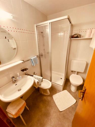 a bathroom with a shower and a sink and a toilet at Apartments Residence Montana in Rasun di Sopra