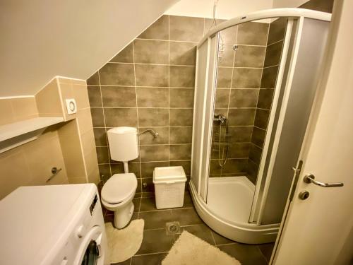 a small bathroom with a toilet and a shower at Ararat Penthouse in Zlatibor