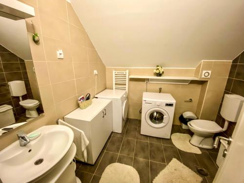 a bathroom with a sink and a washing machine at Ararat Penthouse in Zlatibor