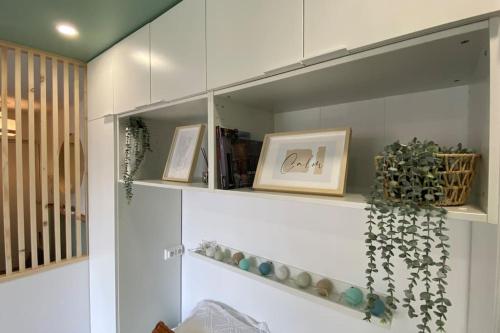 Une étagère avec des plantes et des photos dans l'établissement Appart Hôtel Lison - rénové 2023 Vieux Lille, à Lille
