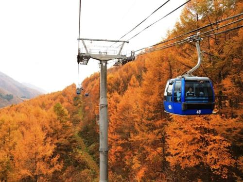 a blue cable car going up a mountain at Naeba Prince Hotel in Yuzawa