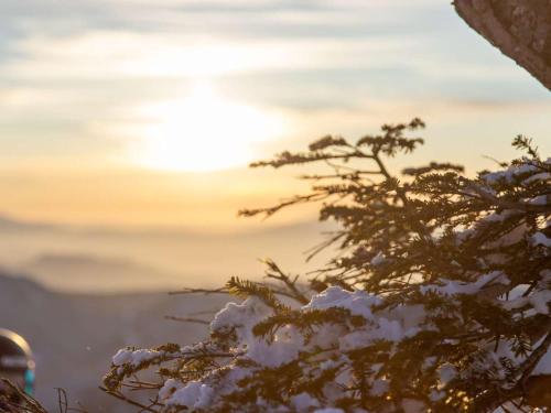 a snow covered tree with the sunset in the background at Naeba Prince Hotel in Yuzawa