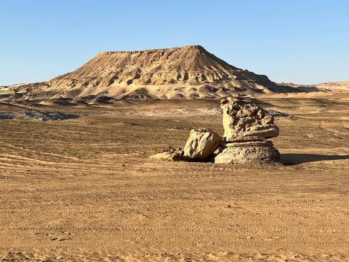 a rock in the desert with a mountain in the background at Oasis Panorama Hotel in Bawiti