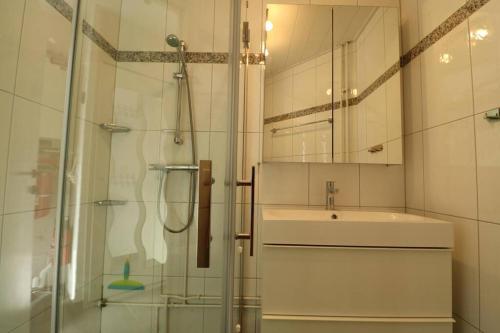 uma casa de banho com um chuveiro, um lavatório e um espelho. em Liguster 69* em Nieuwvliet