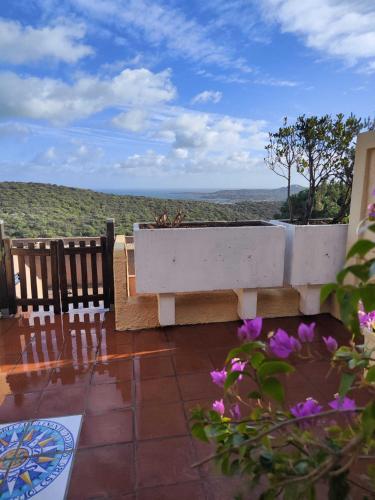 Bella Vista 2