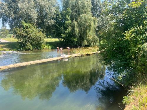 two people are standing on the bank of a river at Ferienwohnung, 2 Zimmer, 4 bis 6 Personen, 67 qm, mit großem Balkon, entlang am Fluss, an der Aach, am Bodensee, nah am Naturschutzgebiet in Singen
