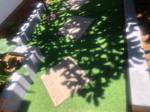 a shadow of a tree on the grass at MajaK Guesthouse in Soweto