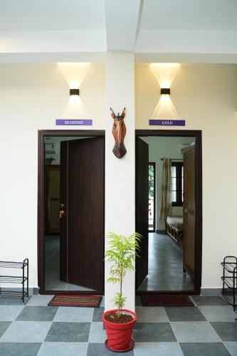 a hallway with two elevators and a plant in a pot at UNGA VEEDU PAY AND STAY in Tiruvannāmalai