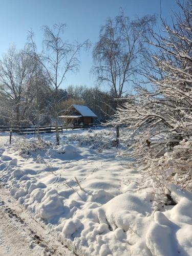 a snow covered field with a house in the background at Cichy Zakątek u Basi 