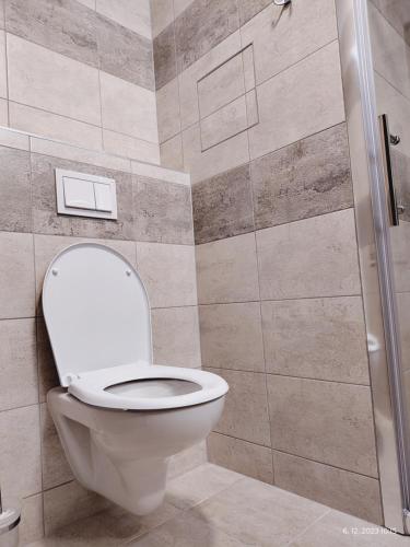 a bathroom with a toilet and a shower at Hostel Blanice in Prague