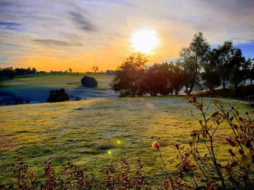 a sunset over a field of grass with the sun setting at Jilly Park Farm Hands-On Experience Discover Authentic Farm Life Complimentary Breakfast Included in Buln Buln