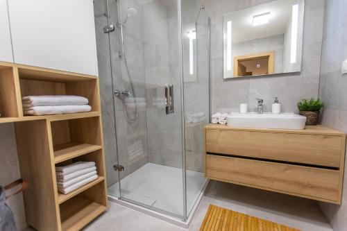 ein Bad mit einem Waschbecken und einer Dusche in der Unterkunft DAPELOVA Apartments - Tále in Tale