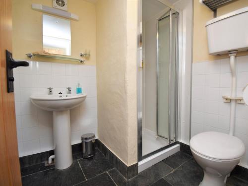 uma casa de banho com um WC, um lavatório e um chuveiro em 2 Bed in Rhayader 45387 em Llangurig