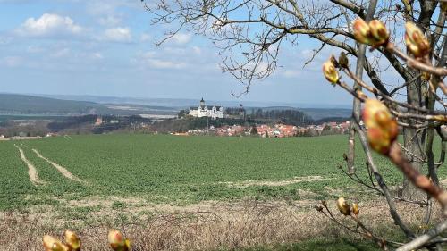 a large green field with a castle in the distance at Café Ilse - Ferienwohnungen in Ranis