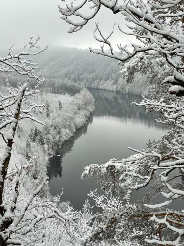 a view of a lake covered in snow at Café Ilse - Ferienwohnungen in Ranis