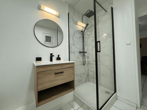 une salle de bain avec une douche, un lavabo et un miroir dans l'établissement Van Gogh Home - Centre - 4p - Rêve au Mans, au Mans