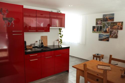 Η κουζίνα ή μικρή κουζίνα στο Haus Meierhüsli