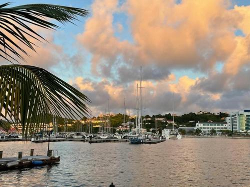 a group of boats docked in a marina on the water at The Pelican #3 - Spacious 2 bedroom 2,5 bath waterfront townhome in the heart of Rodney Bay, townhouse in Rodney Bay Village
