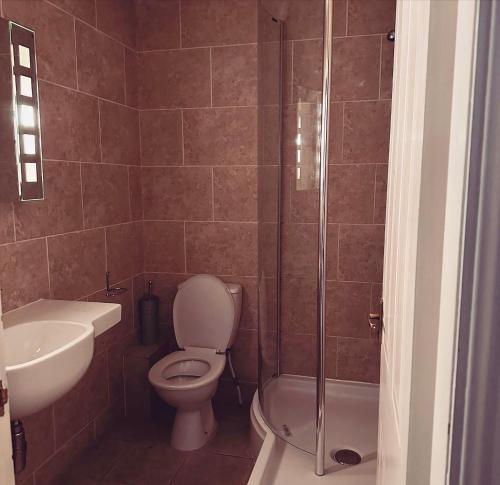 uma casa de banho com um WC, um lavatório e um chuveiro em The Hanmer Arms em Hanmer