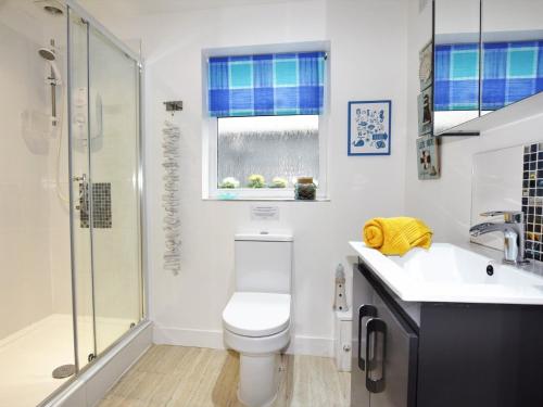y baño con aseo, ducha y lavamanos. en 3 bed in Ferryside 51632, en Ferryside
