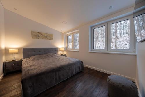 ein Schlafzimmer mit einem Bett und zwei Fenstern in der Unterkunft Bravo Apartments in Kaunas