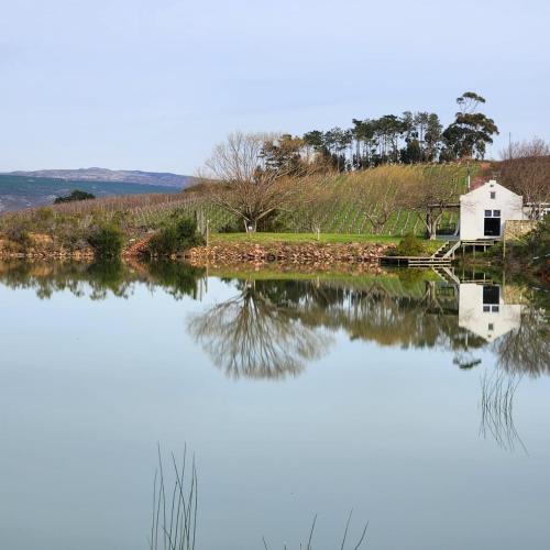 Gallery image of South Hill in Elgin