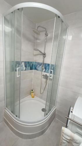 y baño con ducha y mampara de cristal. en Apartma Vas, en Maribor