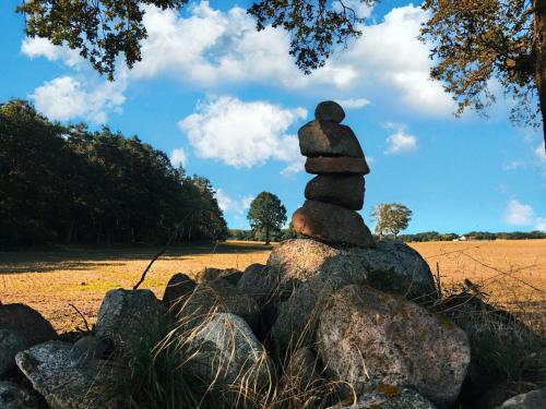 a stack of rocks sitting on top of a field at NEU! FeWo Schwalbennest Nähe Plauer See in Halenbeck