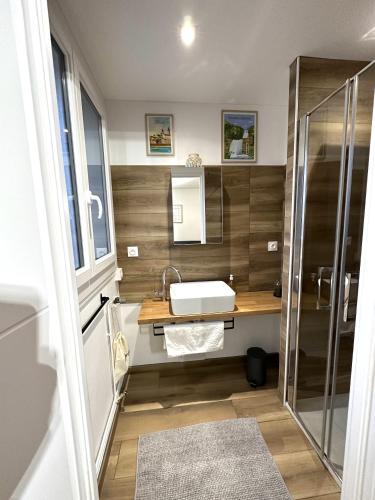 a bathroom with a sink and a shower at LAppart de Droite Confort en ville avec parking privé in Le Creusot